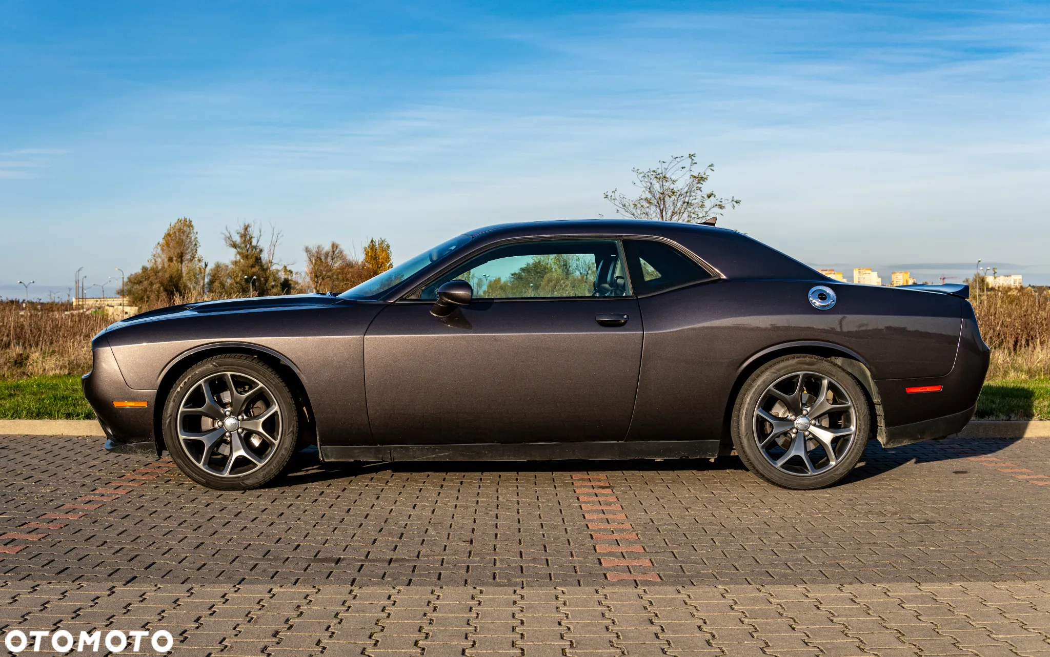 Dodge Challenger Automatik SXT Plus - 7