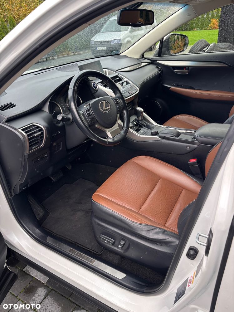 Lexus NX 300h Elite AWD - 17