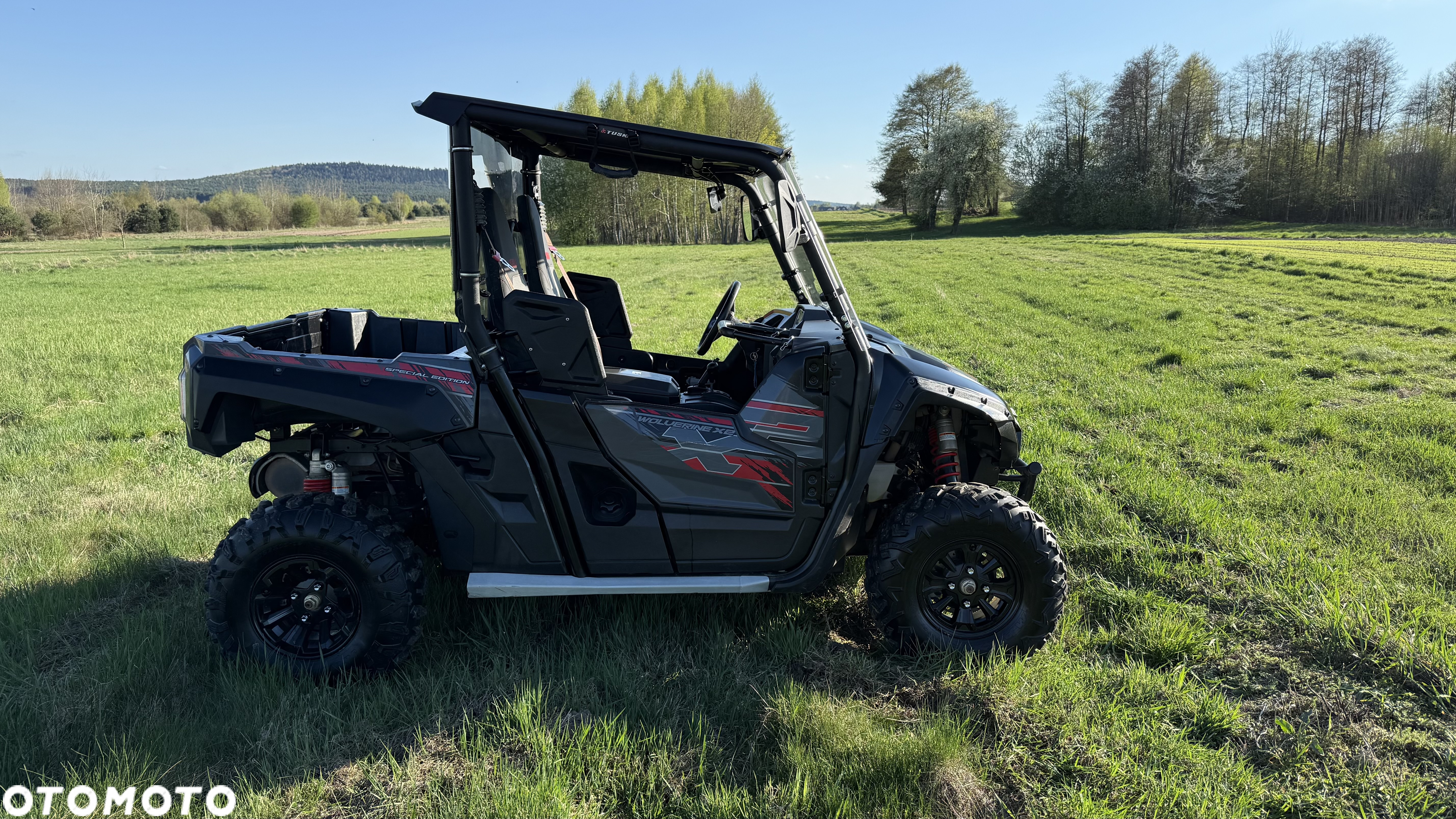 Yamaha Wolverine - 12