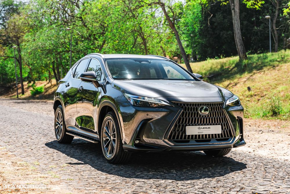 Lexus NX 450h+ - 4