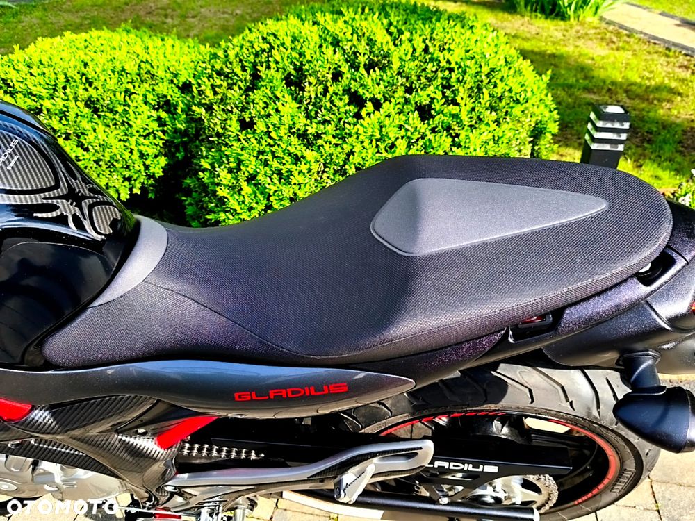 Suzuki Gladius - 14