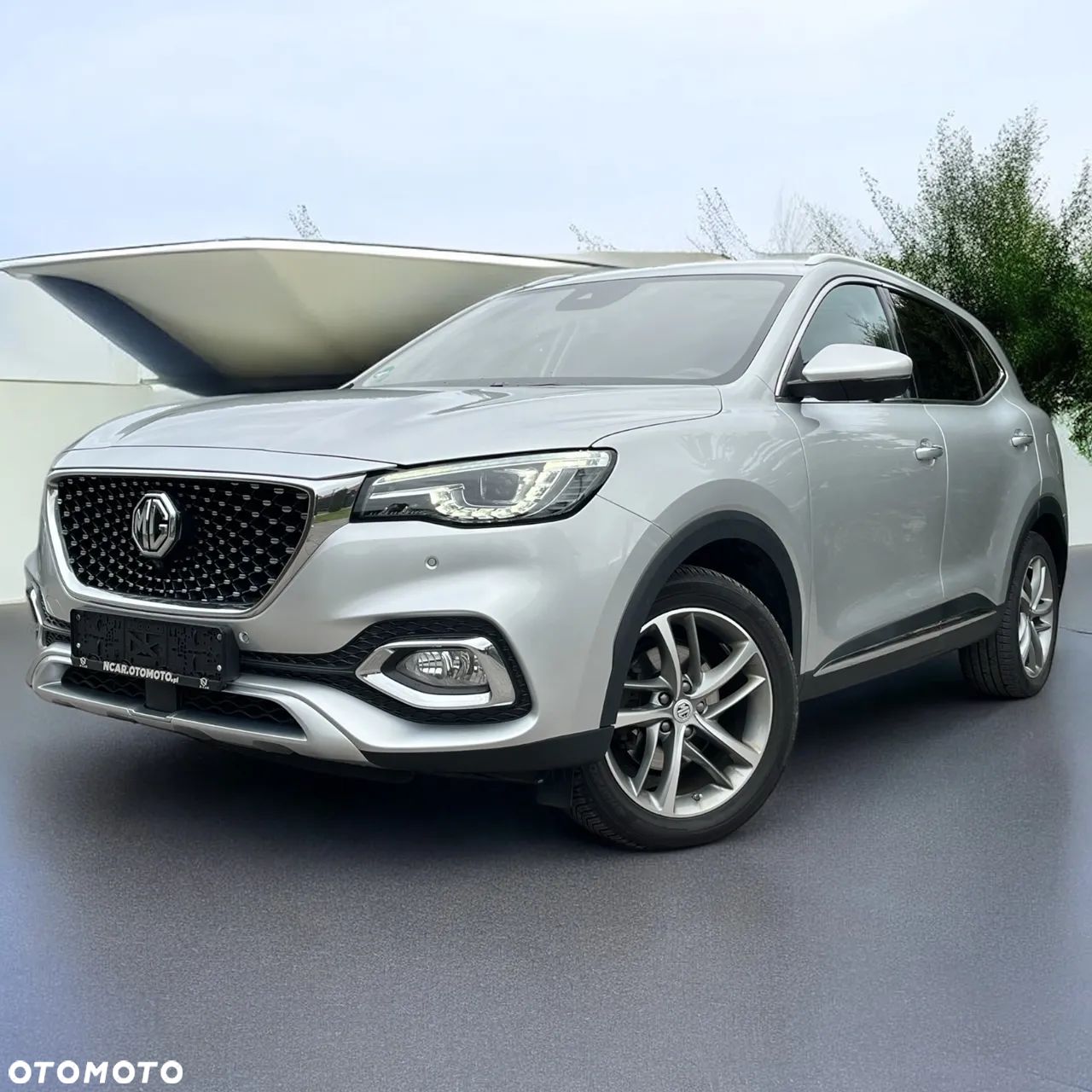 MG EHS - 1