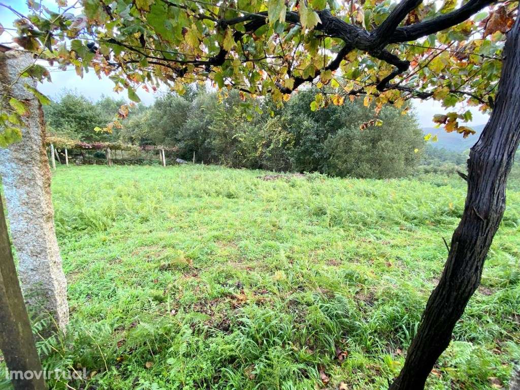 Terreno para construção - Grande imagem: 2/11