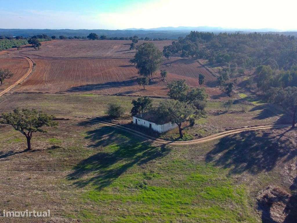 Monte com Ruína - Grande imagem: 2/12