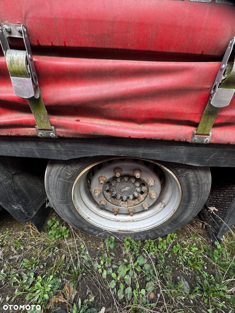 Schmitz Cargobull - 5