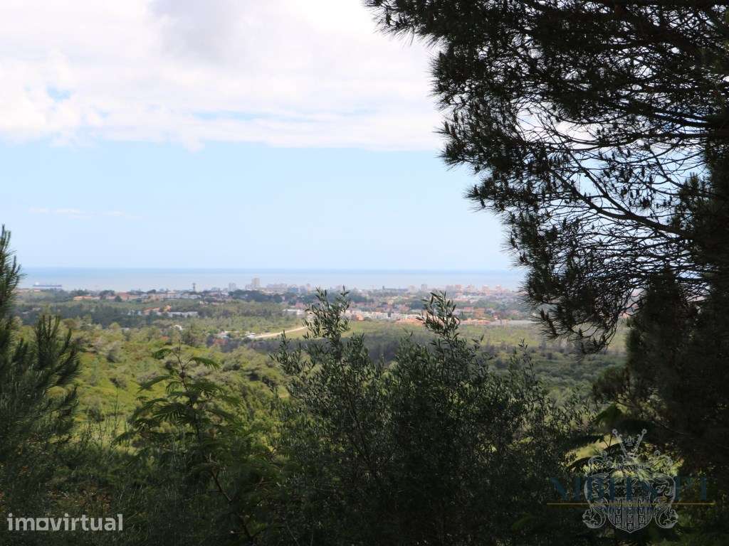 À VENDA: Lote com vista mar em Malveira da Serra - localização elev... - Grande imagem: 4/24
