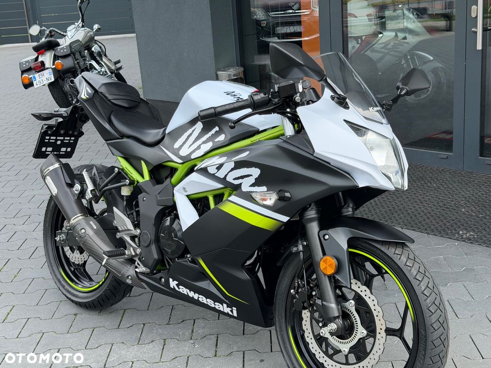 Kawasaki Ninja - 20