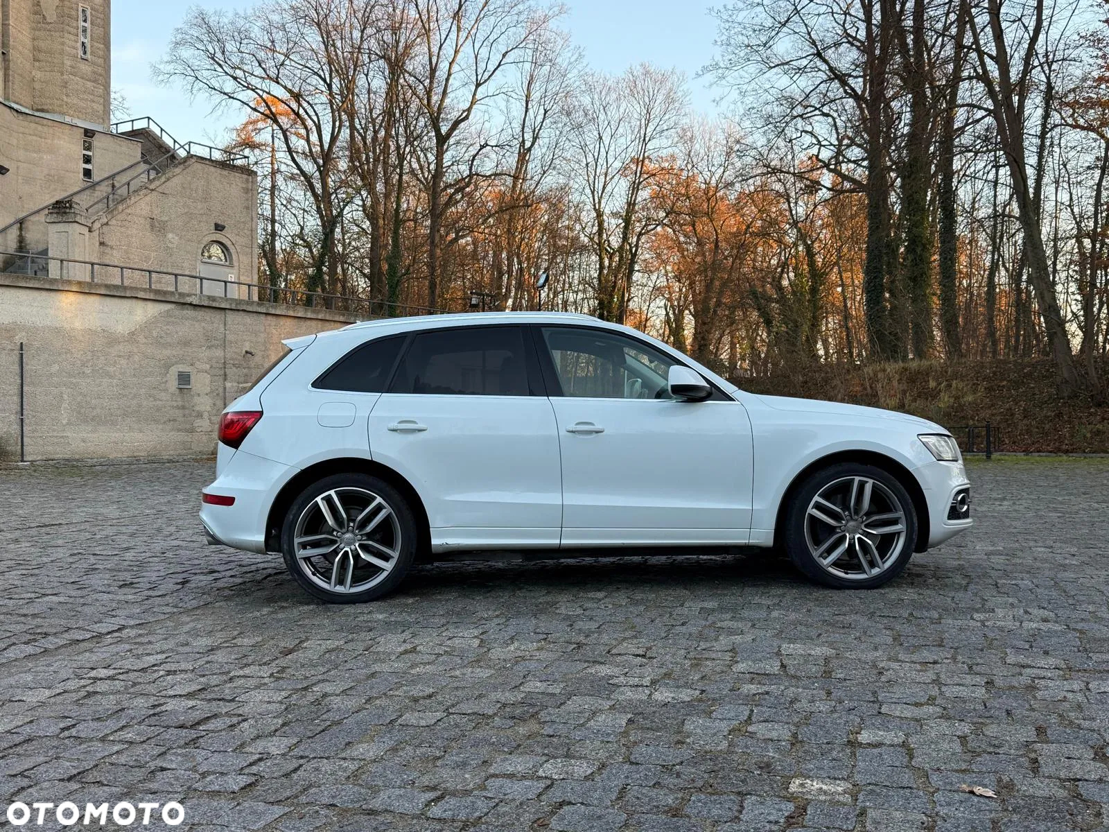 Audi SQ5 - 7