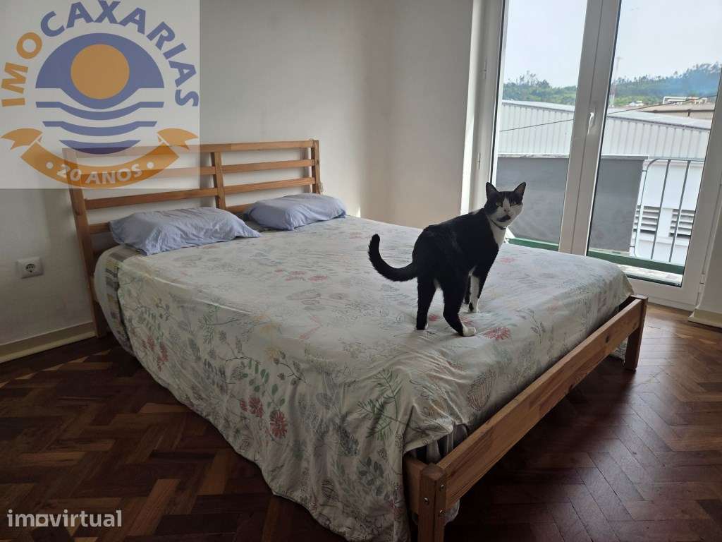 Excelente Apartamento T3 para Arrendar em Caxarias - A 1 min da Est... - Grande imagem: 5/20