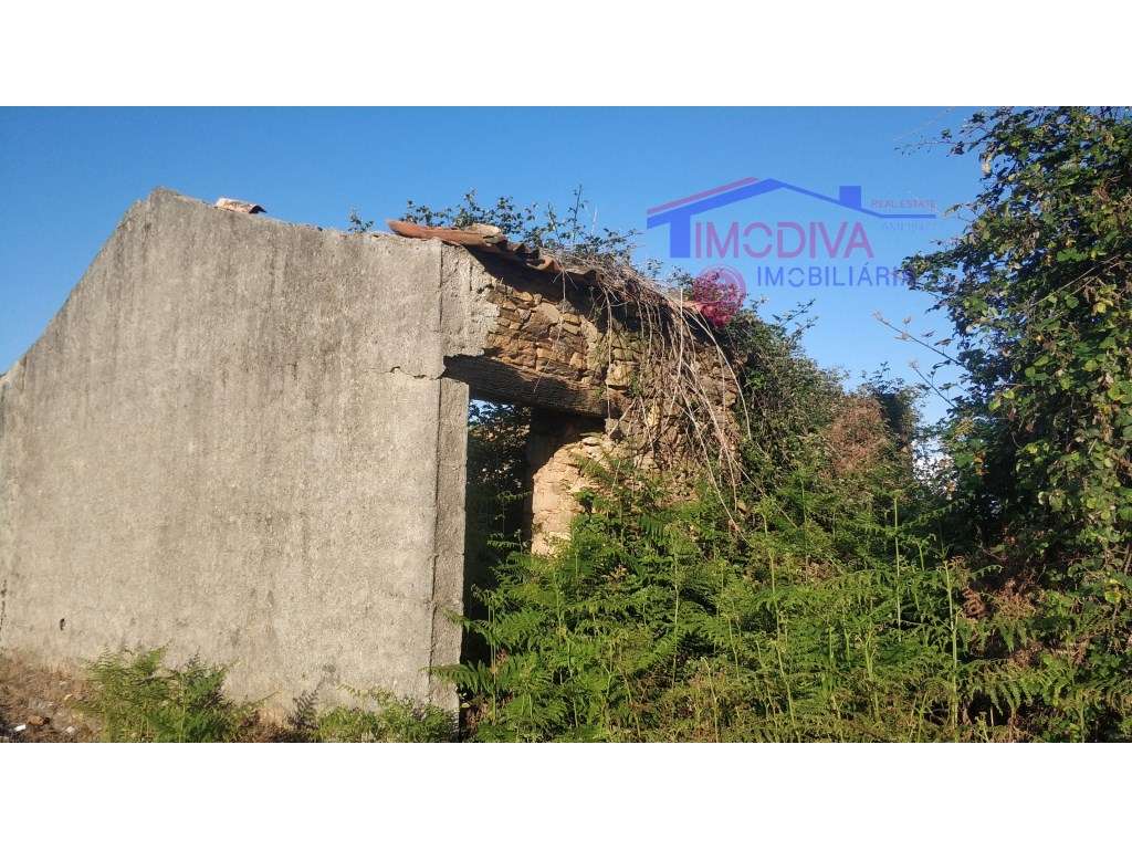 Terreno com ruina para Reconstruir - Grande imagem: 2/3