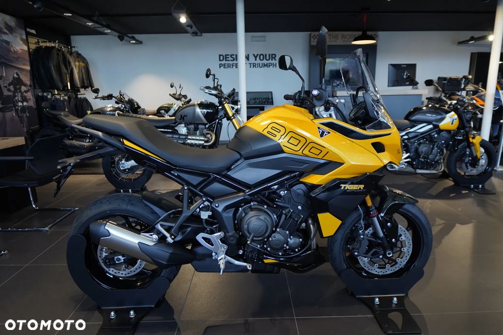 Triumph Tiger - 1