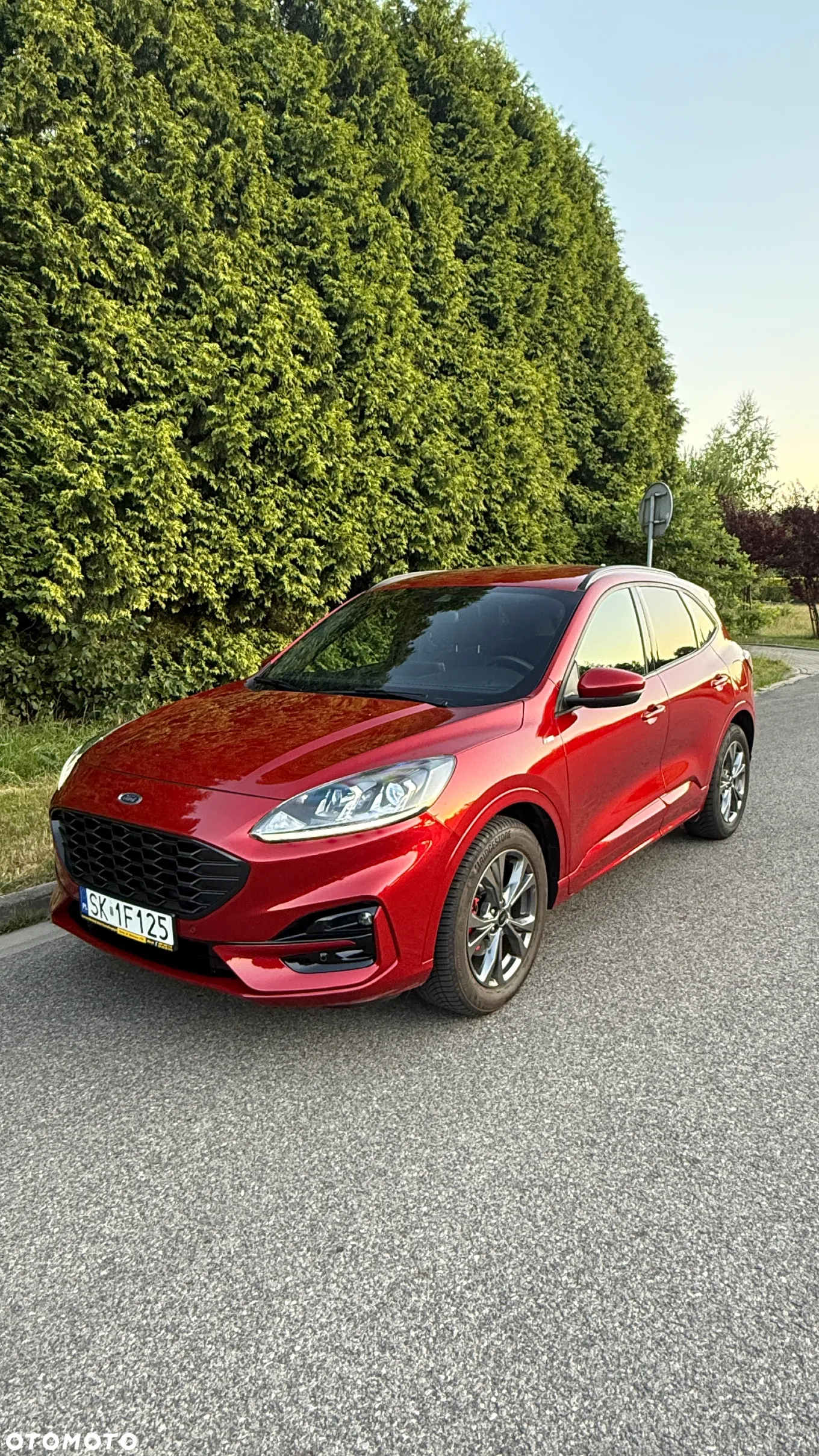 Ford Kuga 2.5 FHEV FWD ST-Line - 9