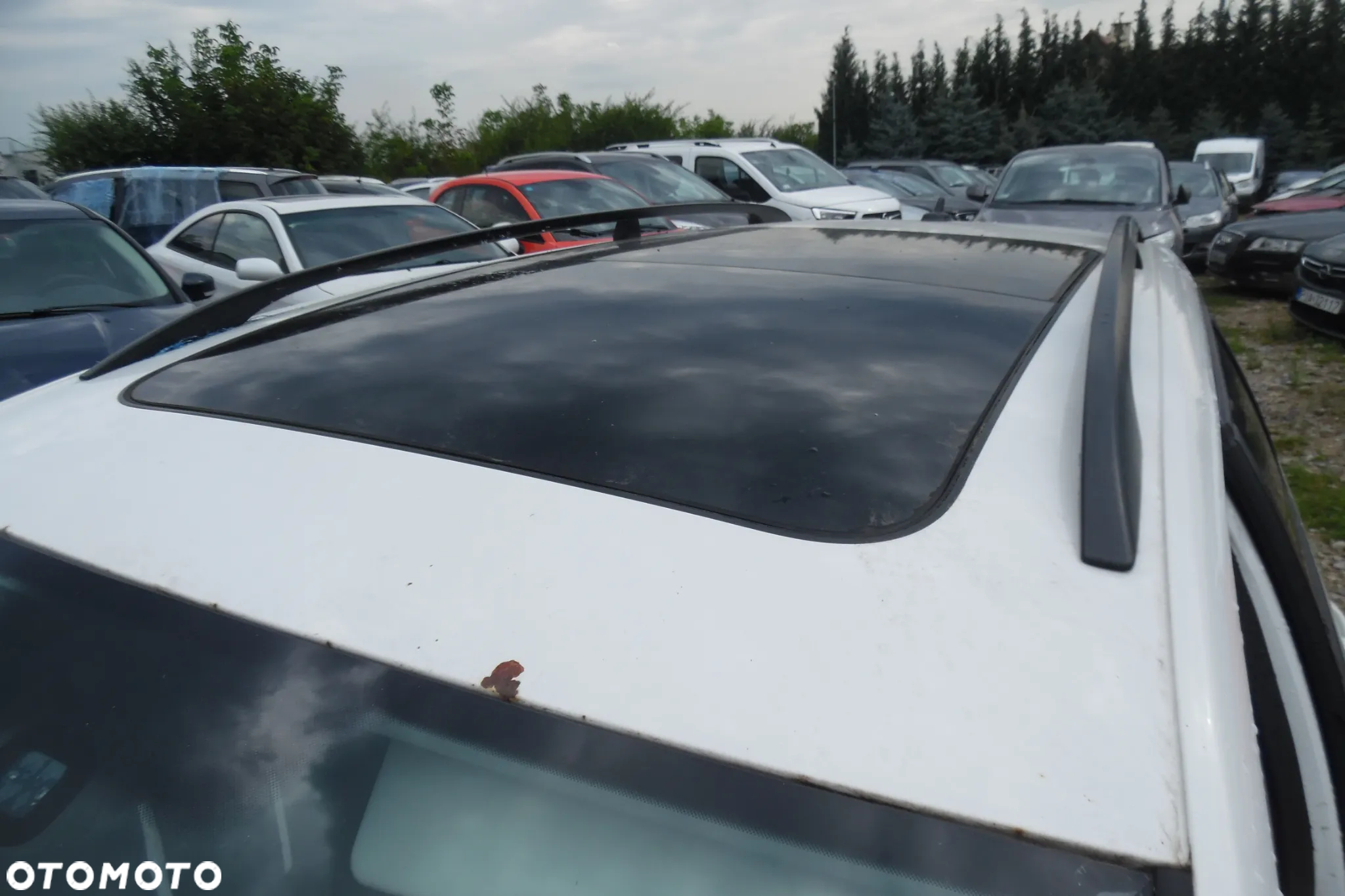 Volkswagen Passat 1.6 TDI Comfortline - 18