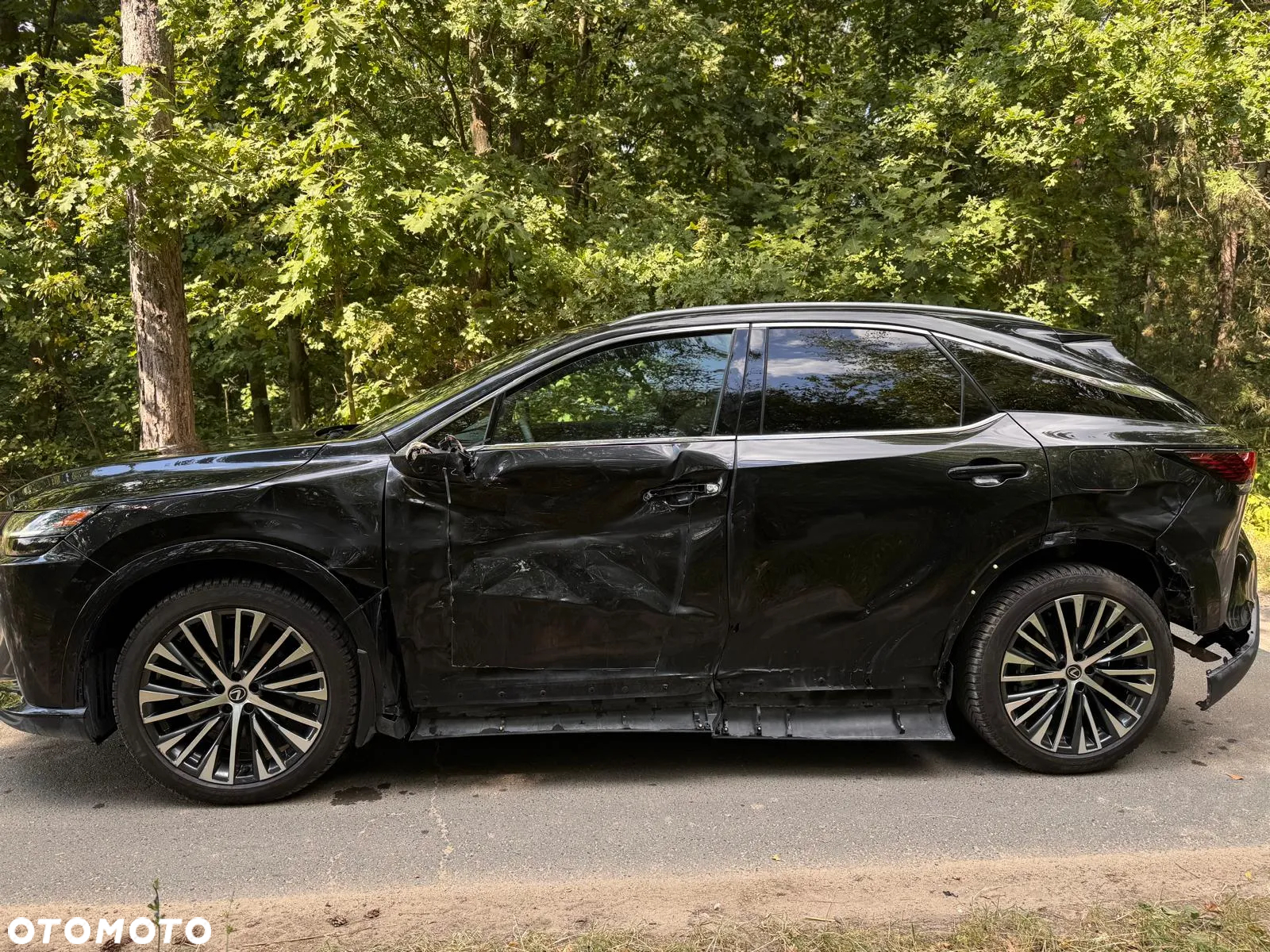 Lexus RX 350h (hybrid) Business - 8