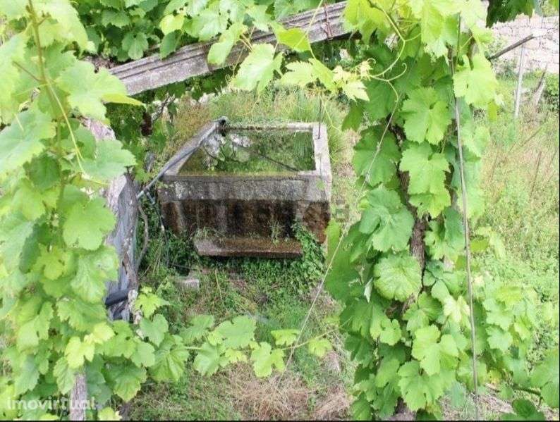 Pequena quinta com 2900m2 - Grande imagem: 3/5