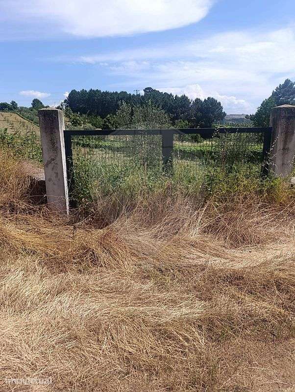 Terreno  para venda - Grande imagem: 3/4