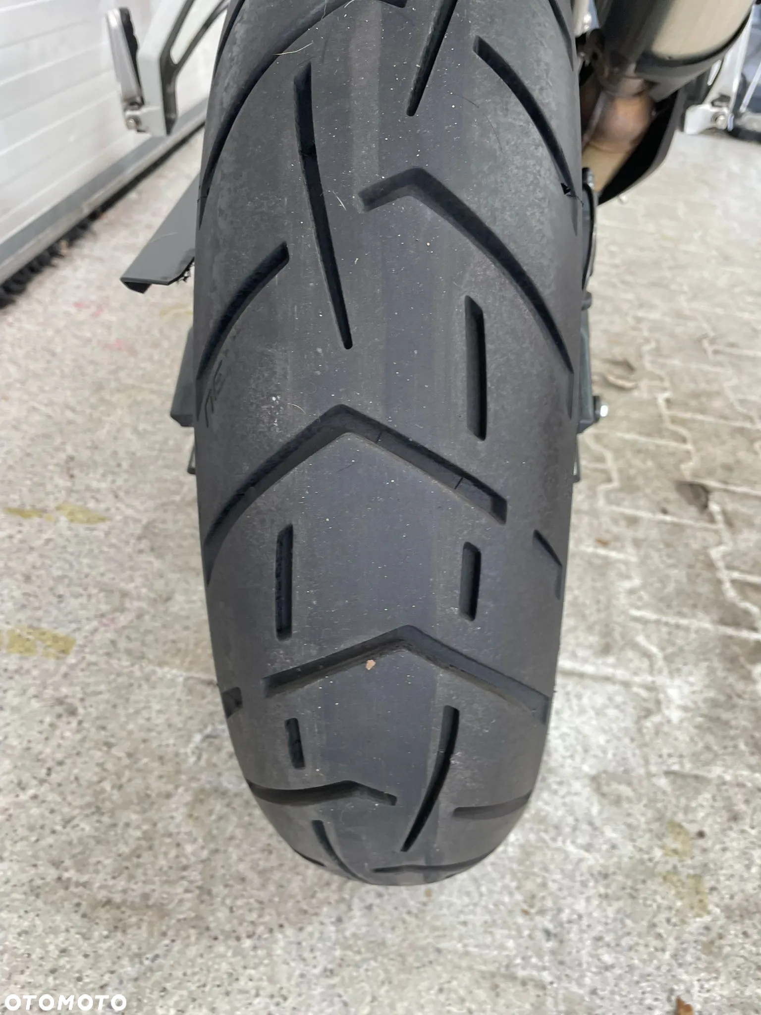 Triumph Tiger - 14