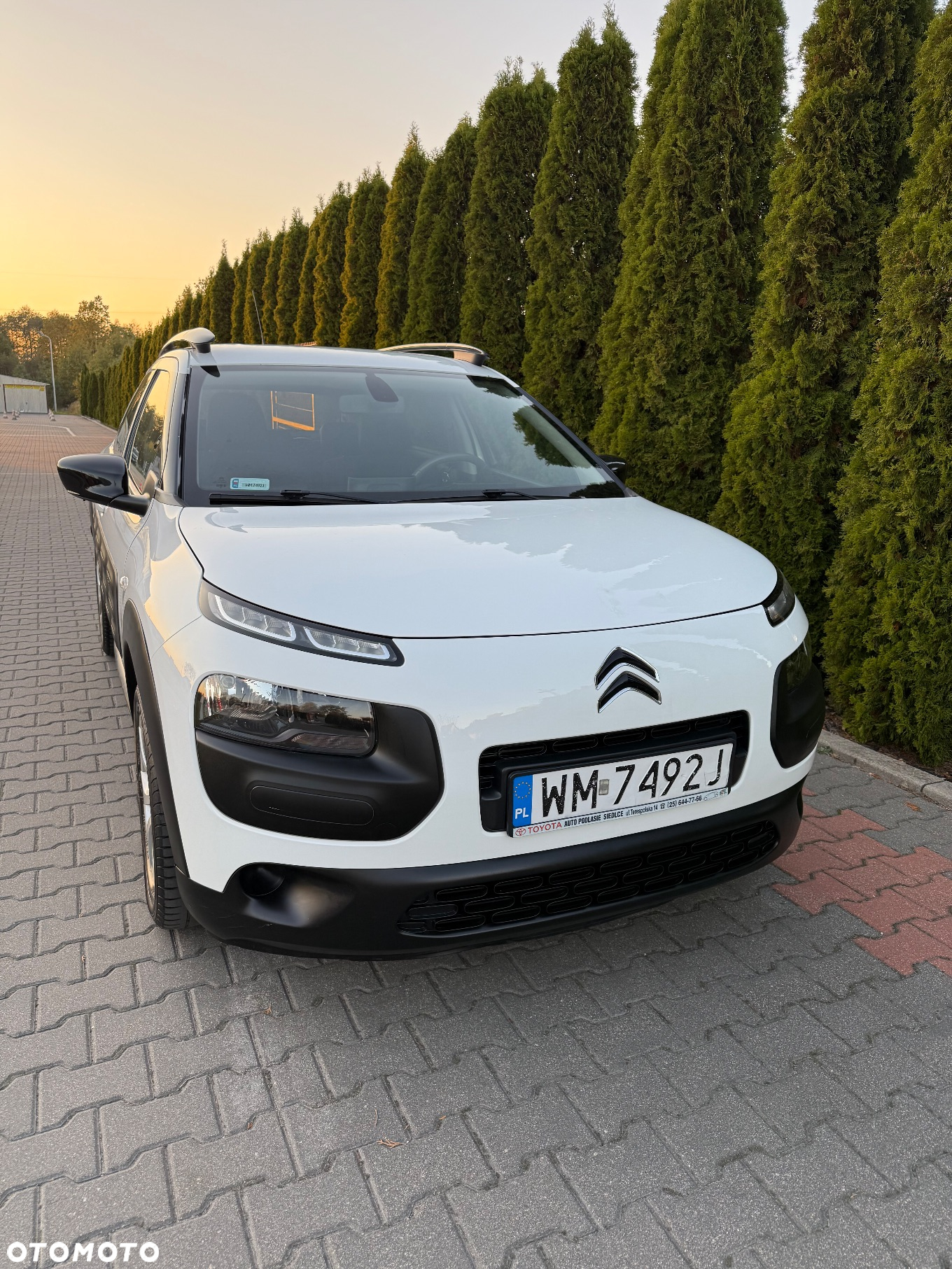 Citroën C4 Cactus 1.2 PureTech MoreLife - 2