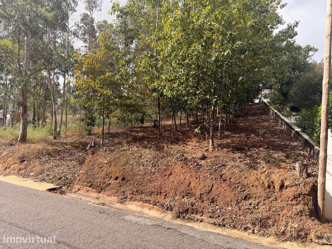 Terreno em Óis da Ribeira para construção de moradia - Grande imagem: 2/6