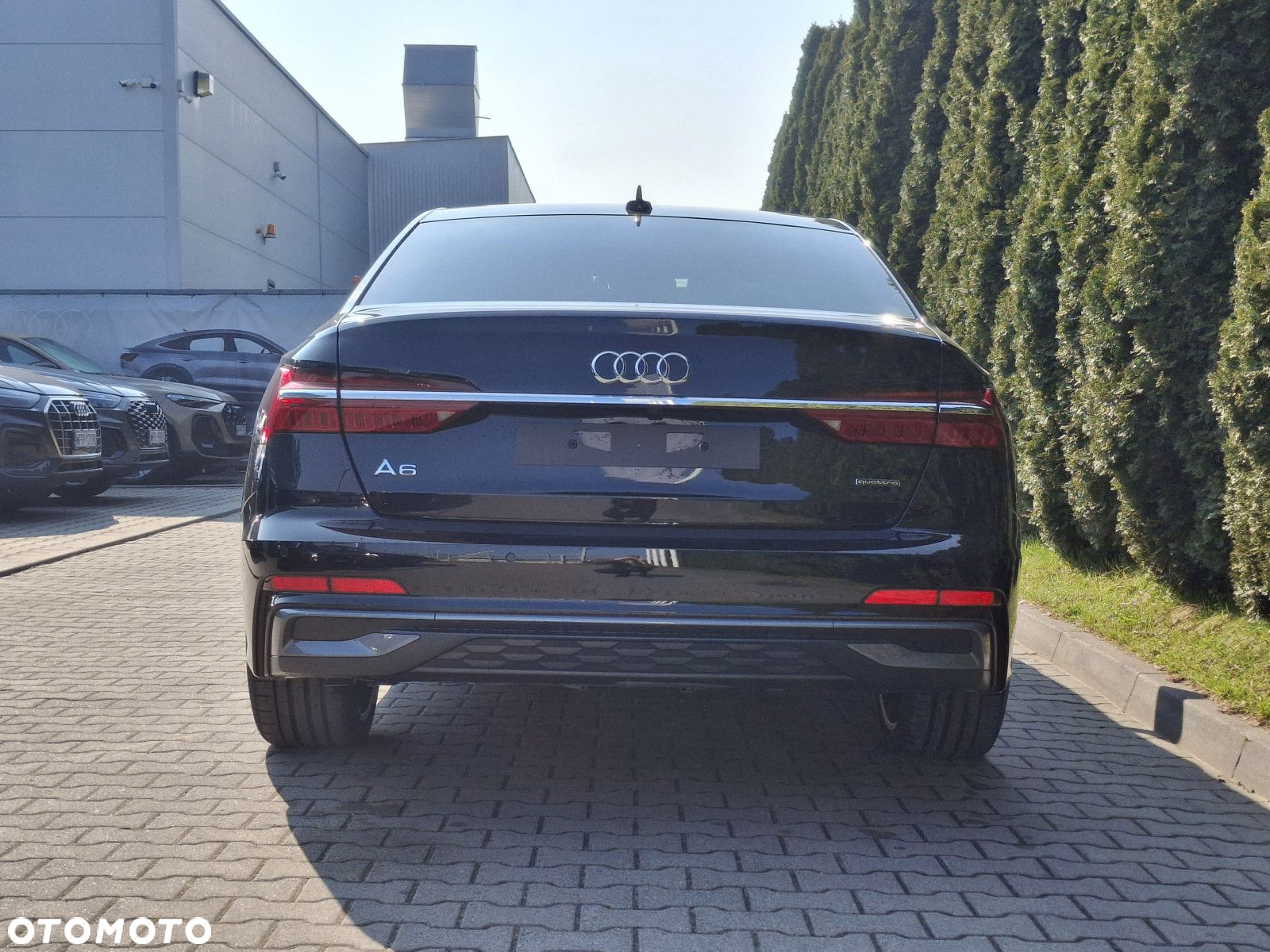 Audi A6 - 6