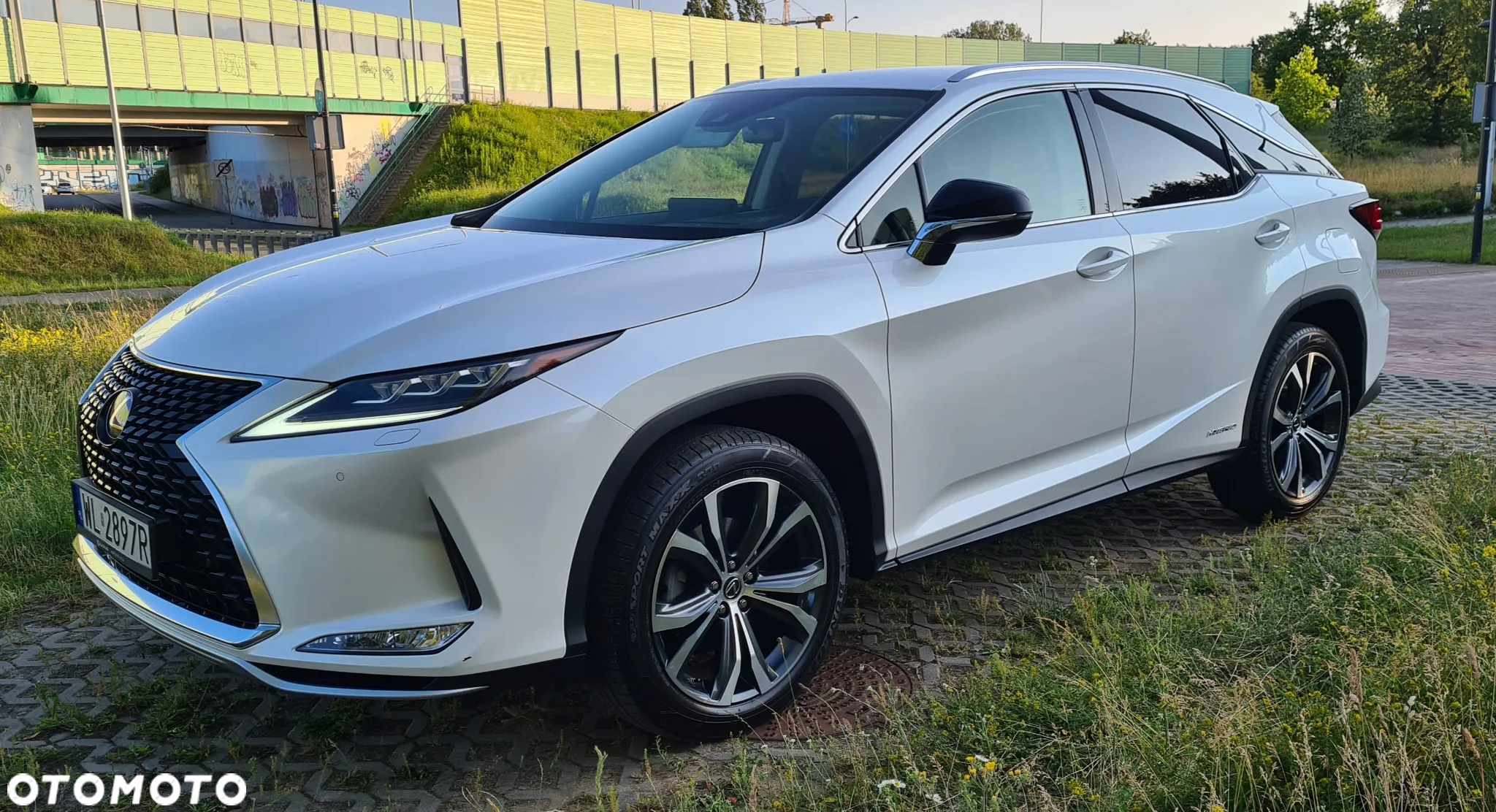 Lexus RX 450h F-Impression - 2