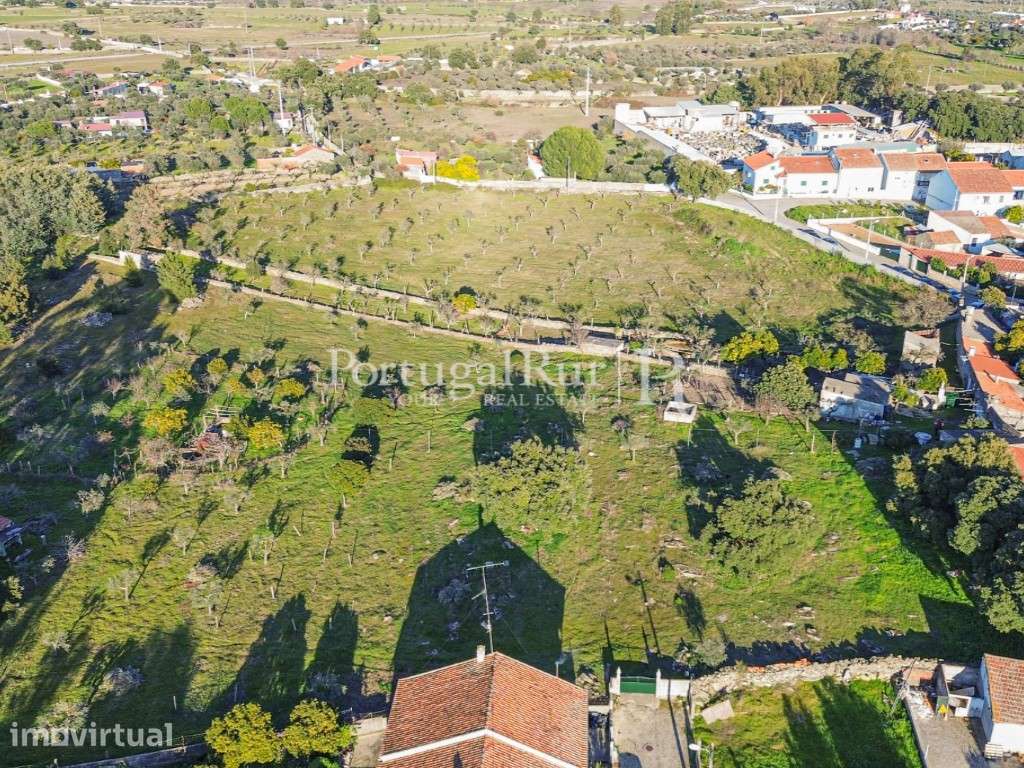 Quinta com 1,47 hectares em Alcains - Grande imagem: 5/39