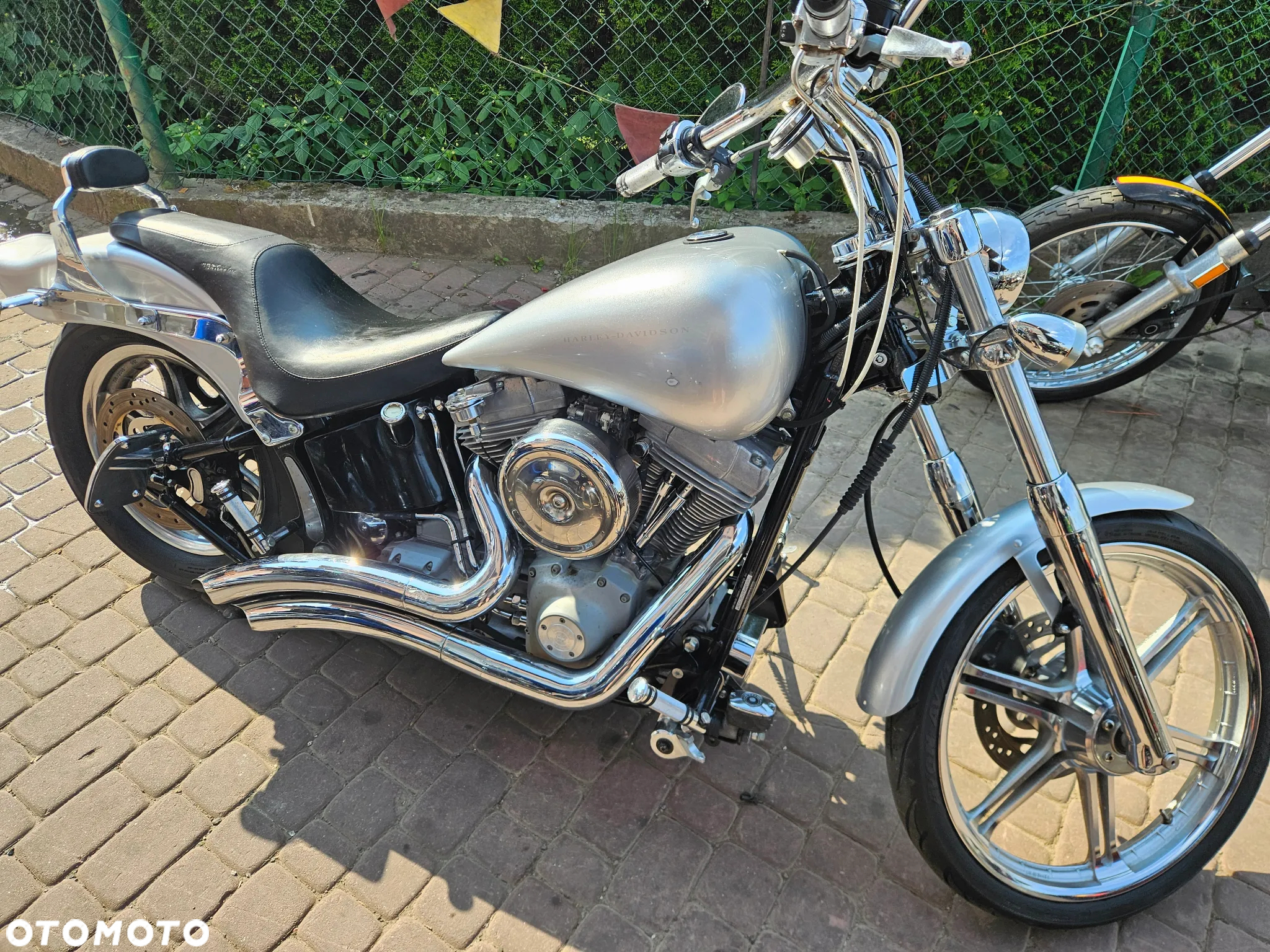 Harley-Davidson Softail Standard - 2