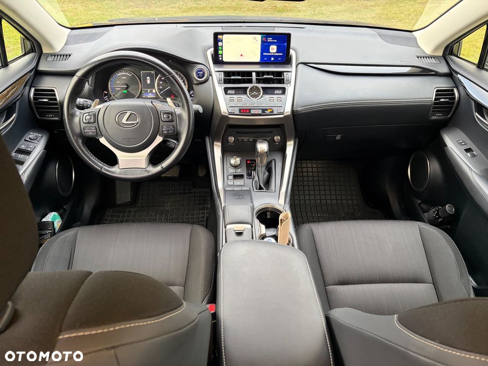 Lexus NX - 10