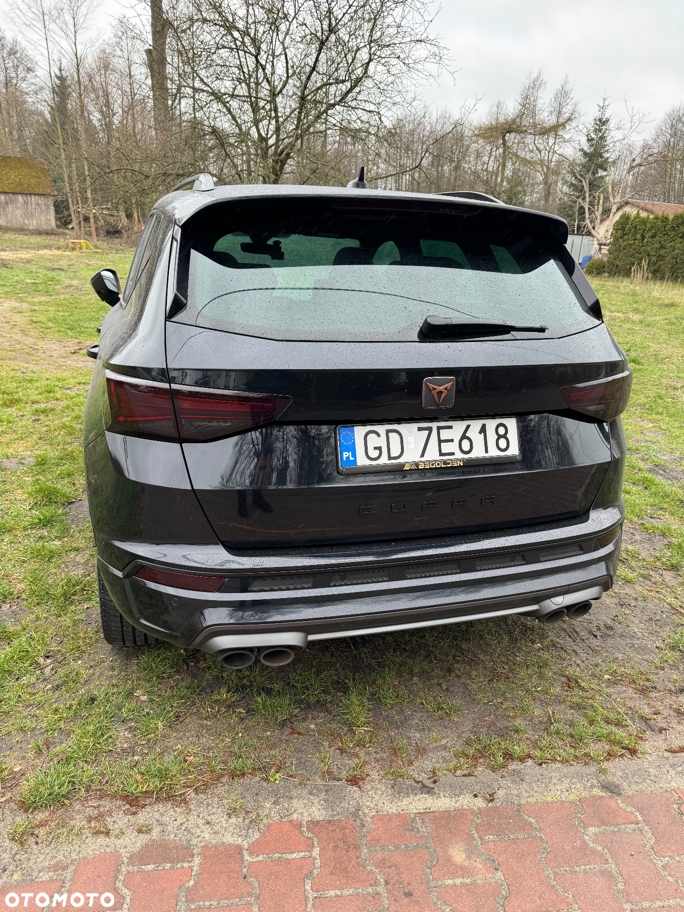 Cupra Ateca - 12