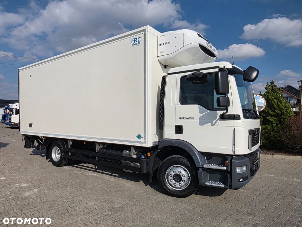 MAN TGM 15.290 CHŁODNIA 15 EUROPALET Z DE 15 TON DMC STAN BARDZO DOBRY !! - 4