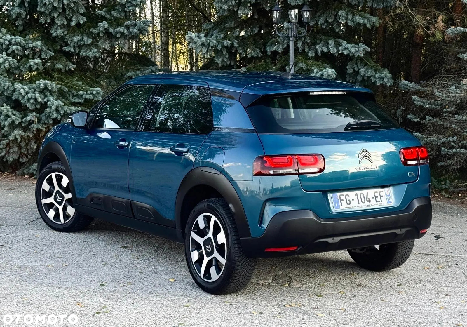 Citroën C4 Cactus - 14