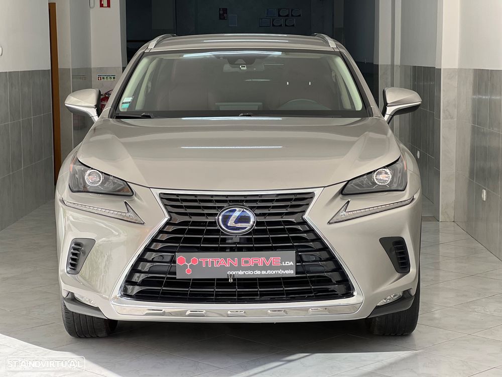 Lexus NX 300h Business - 2