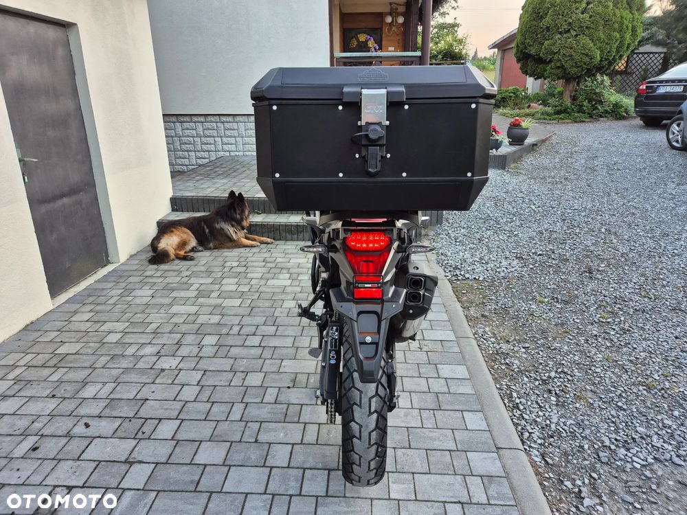 Honda CRF - 20