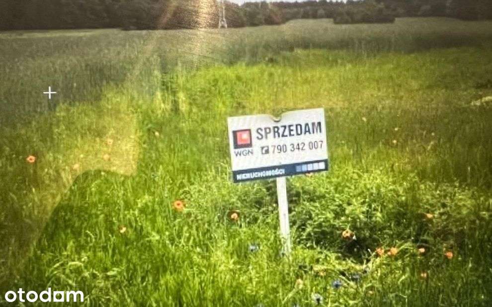 Działka, 12 000 m², Zalesiaki-Pieńki - Pełny obrazek: 2/4