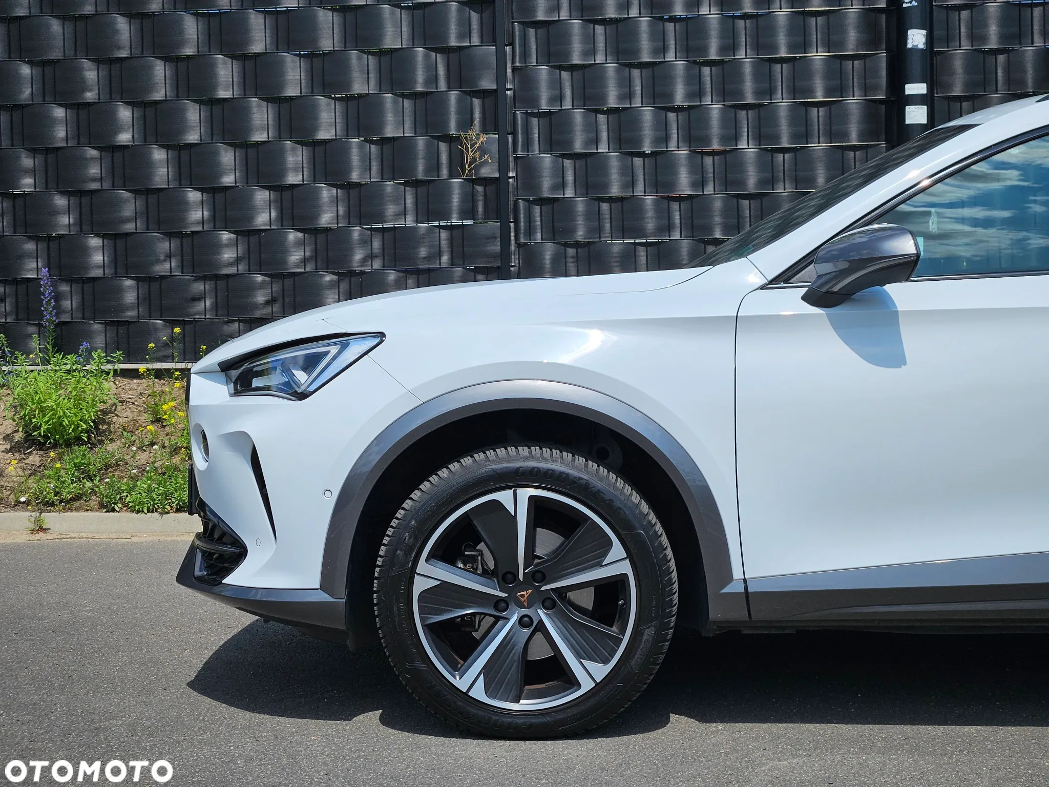 Cupra Formentor 1.5 TSI DSG - 9