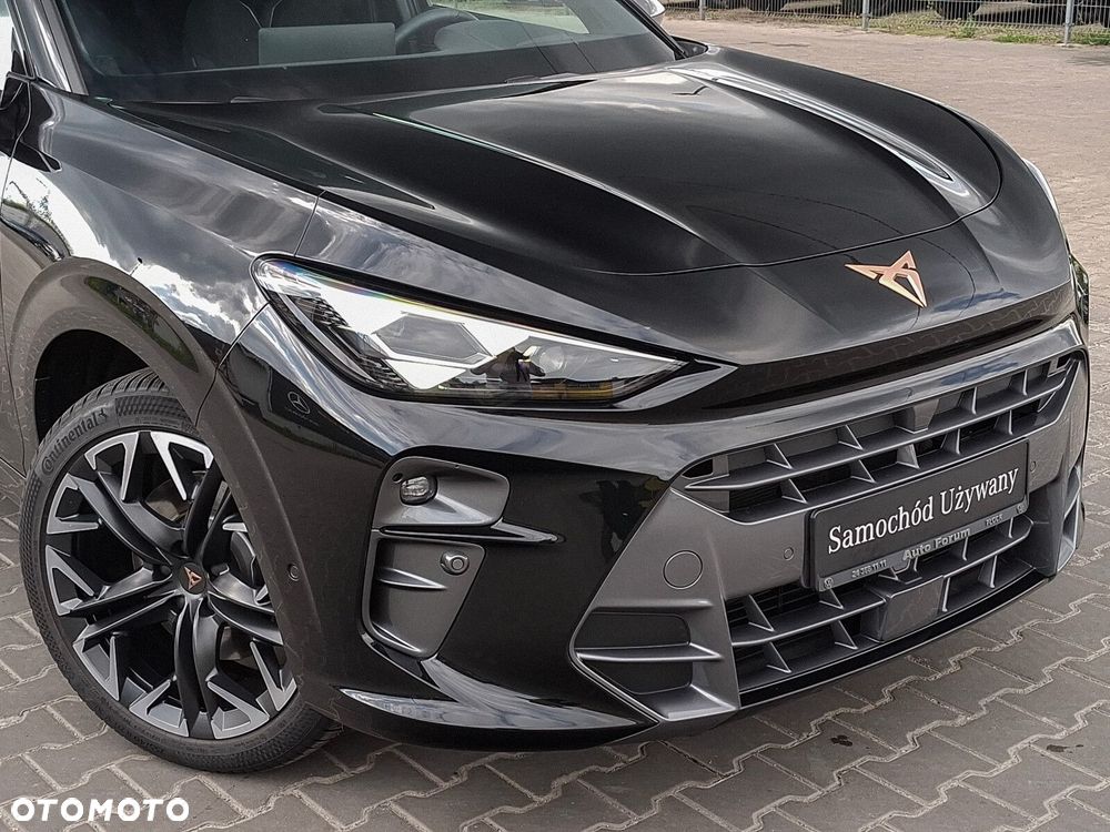 Cupra Terramar - 9