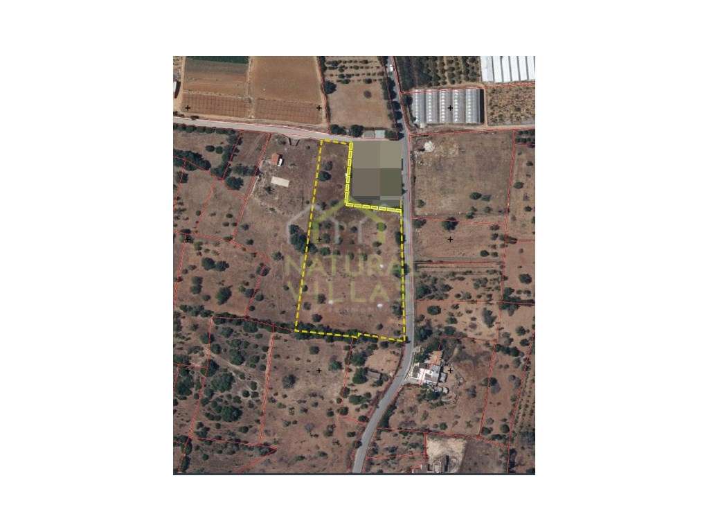 Terreno Rústico totalmente Plano em Pechão - Grande imagem: 3/3