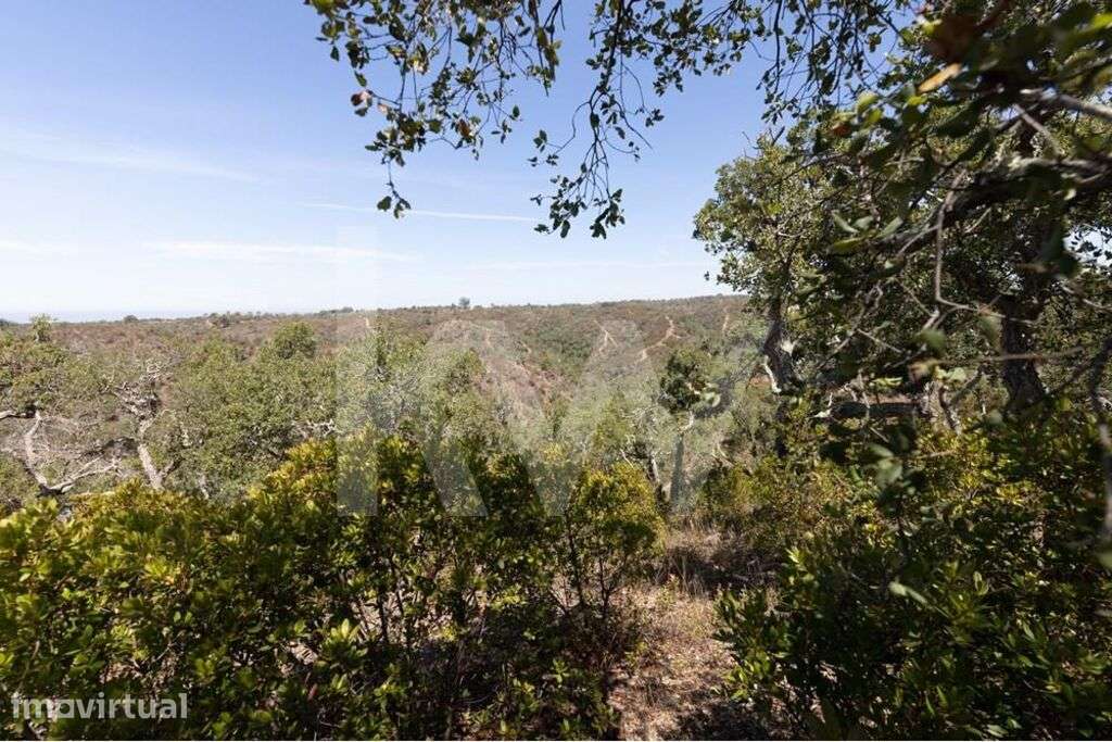 Terreno à Venda em São Francisco da Serra | 17,125 Hectares de Montado - Grande imagem: 2/21