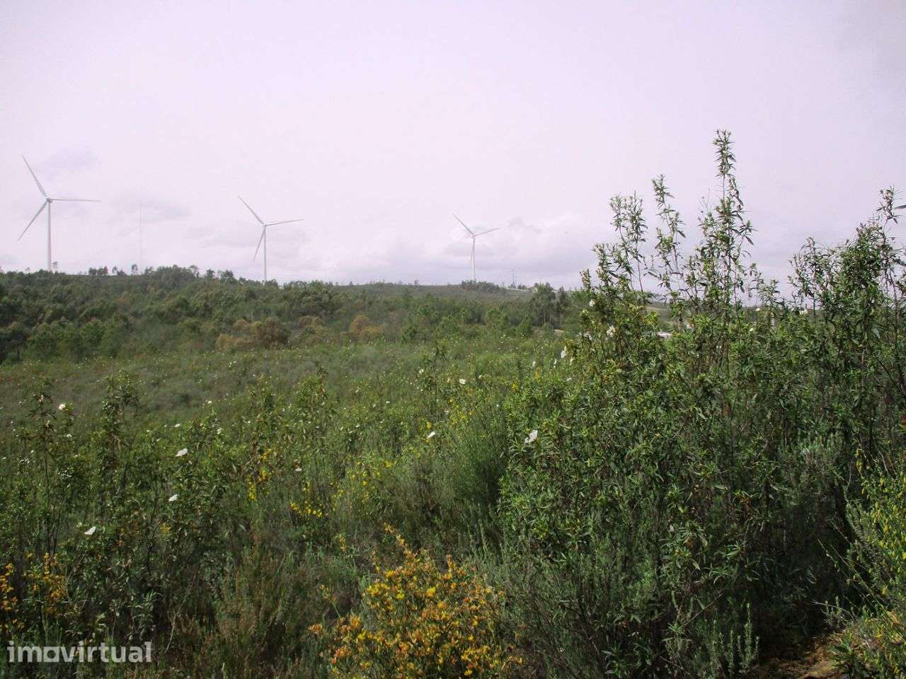 Terreno - Grande imagem: 4/5
