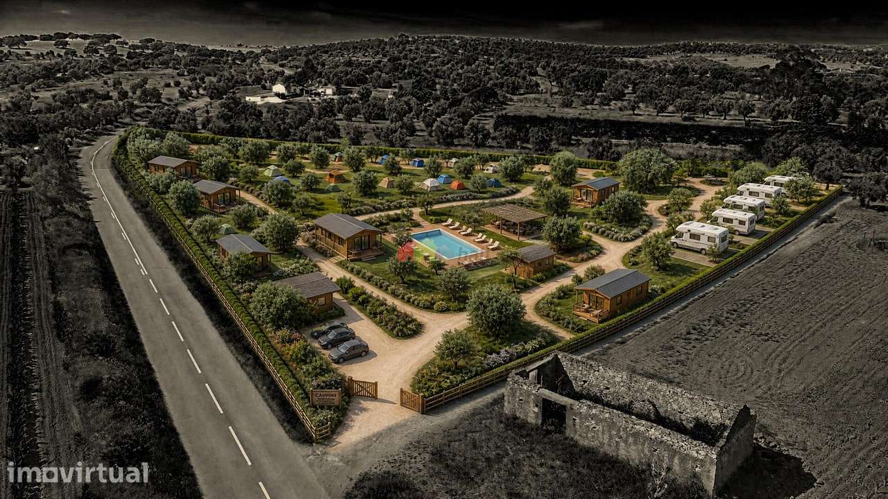 Terreno de 0,5ha com Olival e Potencial Turístico – Vila Alva - Grande imagem: 4/24
