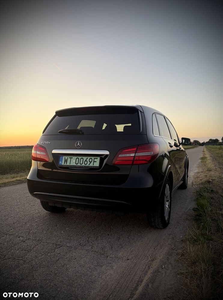 Mercedes-Benz Inny - 14