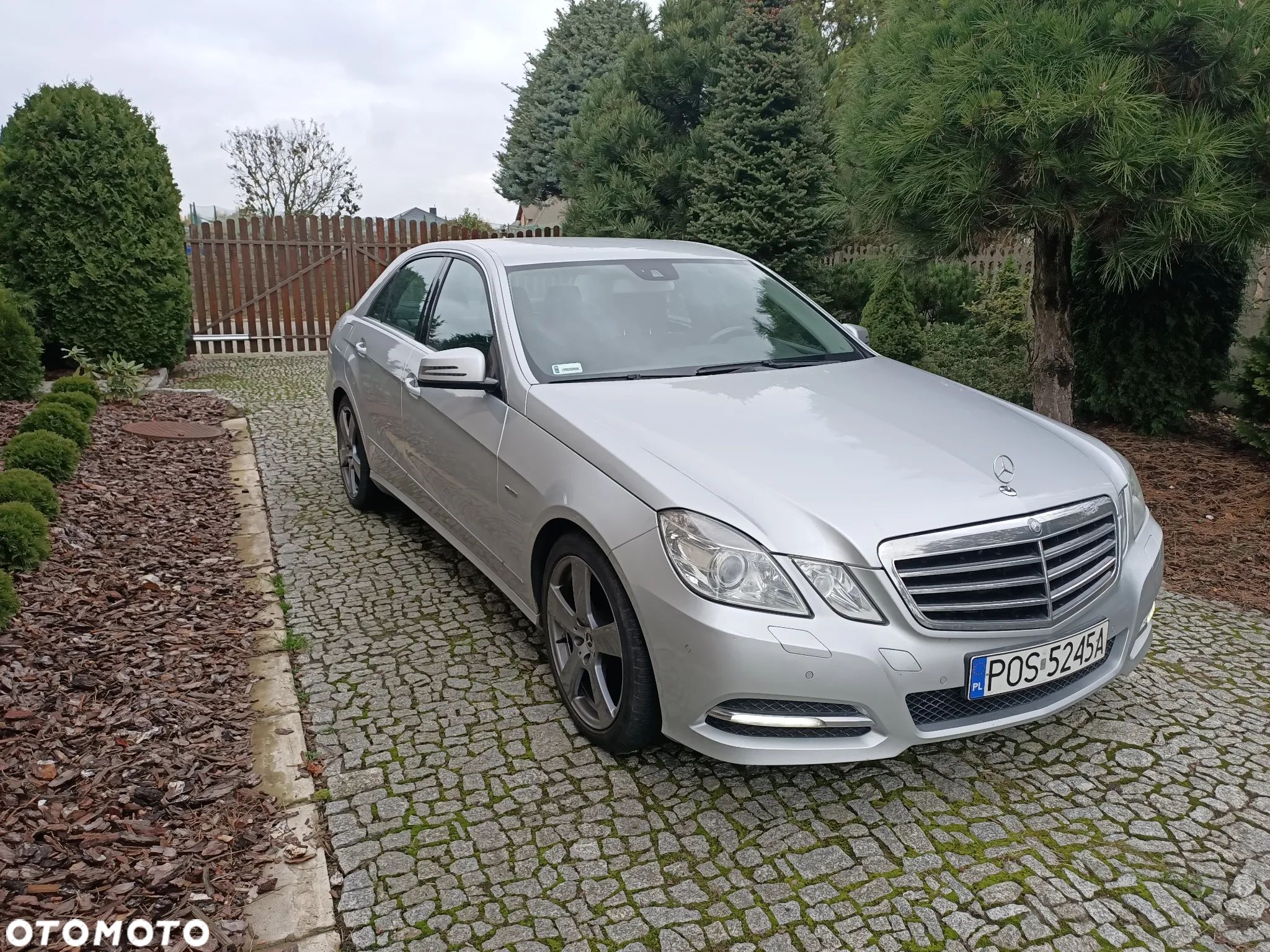 Mercedes-Benz Klasa E 250 CDI 4-Matic Elegance - 1