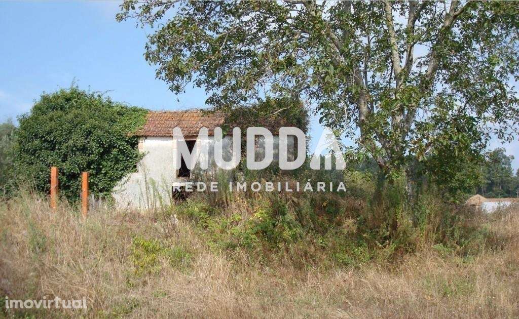 Moradia p/Restauro em Alquerubim, Albergaria-a-Velha - Grande imagem: 2/11