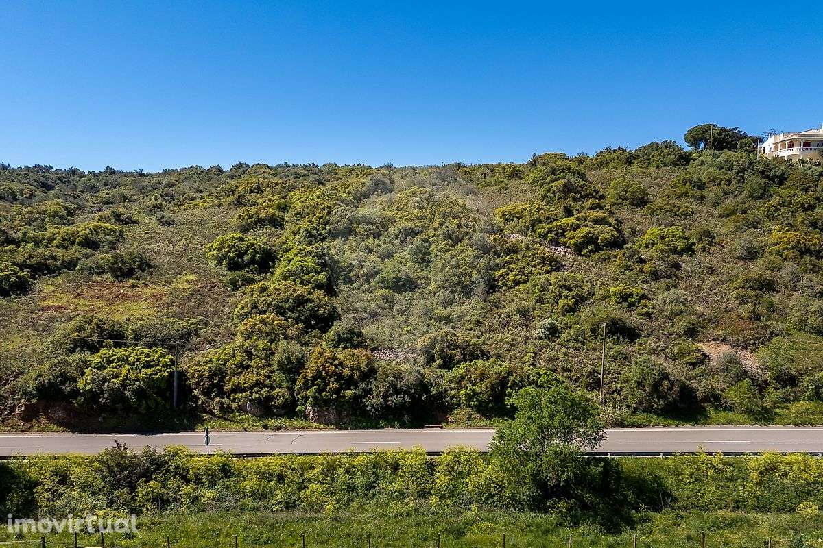 Terreno  para venda - Grande imagem: 4/12