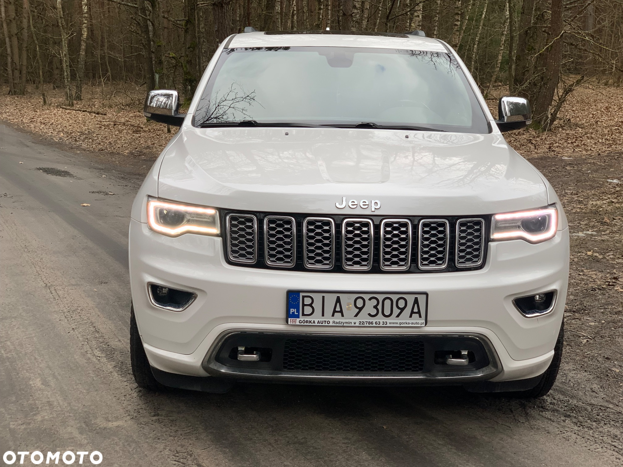 Jeep Grand Cherokee 3.6 V6 Overland - 6