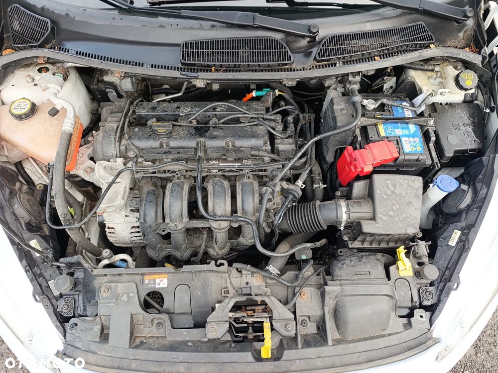 Ford Fiesta - 16