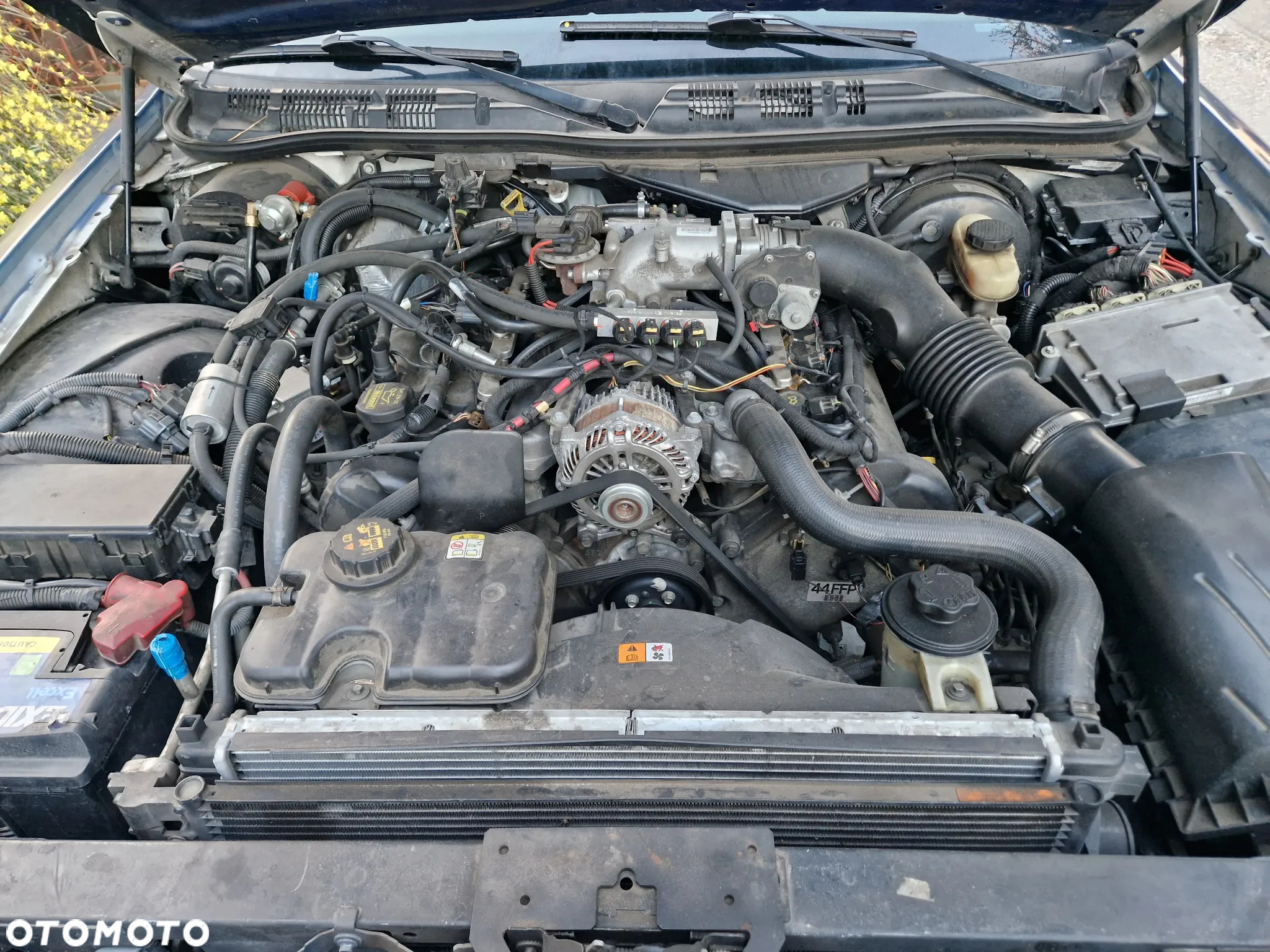 Ford Crown - 14