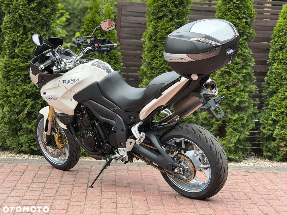 Triumph Tiger - 8