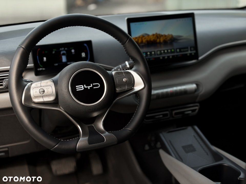 BYD Dolphin Surf - 13