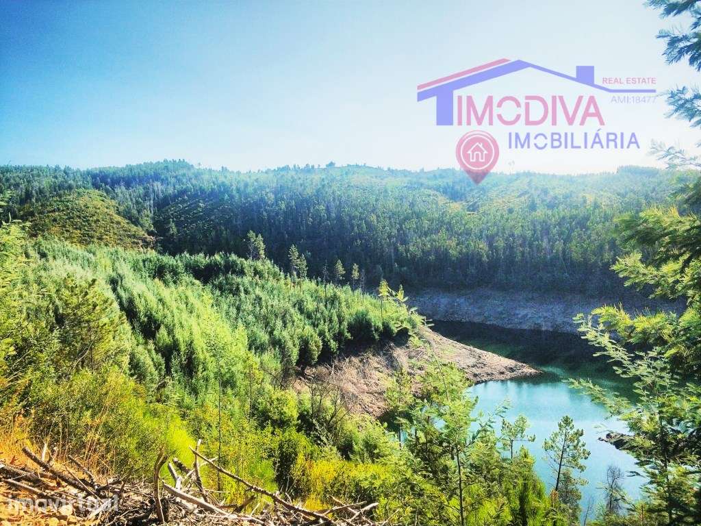 Terreno Florestal com 29000m2 - Alvares - Grande imagem: 2/6